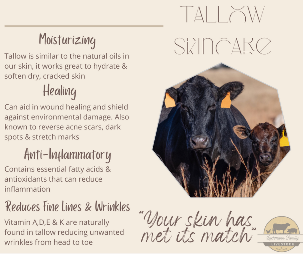 Whipped Tallow & Balms